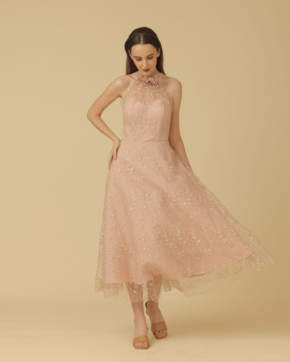 070A4379 Stevia - Image 1