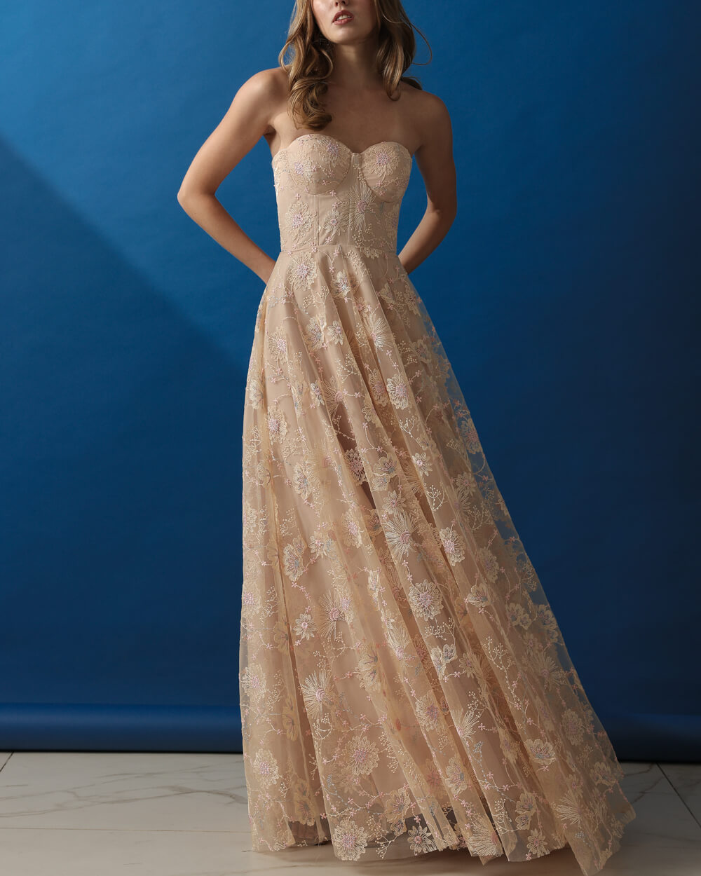 070A7956 Hector - Image 1