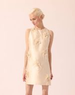 Kitt in Cream